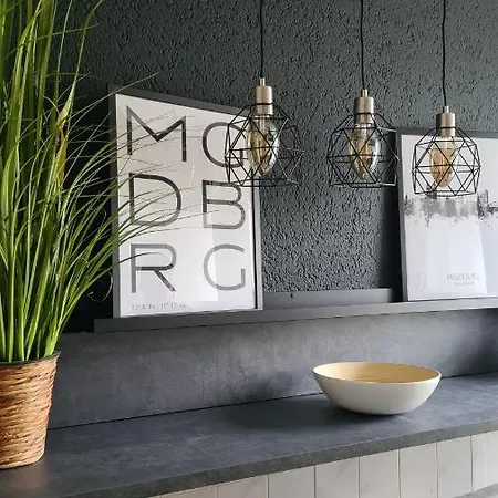 Ferienwohnung, Monteurwohnung, Elise Appartement Magdebourg