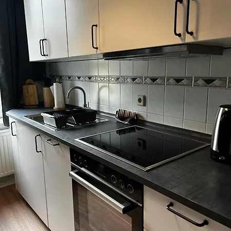 Ferienwohnung, Monteurwohnung, Elise Apartment *